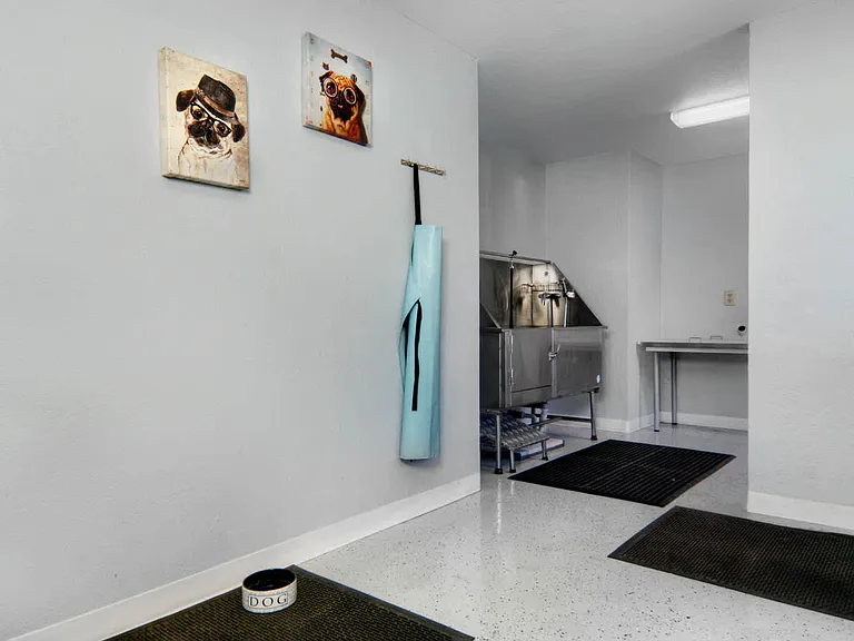 Pet Spa and Wash Station