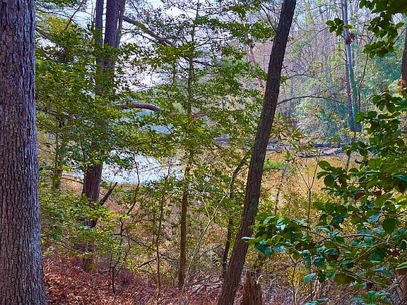 5th image of 24 Bermuda Rd