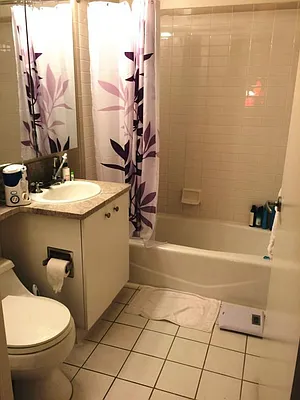 Rented by Keller Williams NYC | media 5