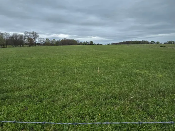 000 Adams Lane, Rogersville, MO 65742