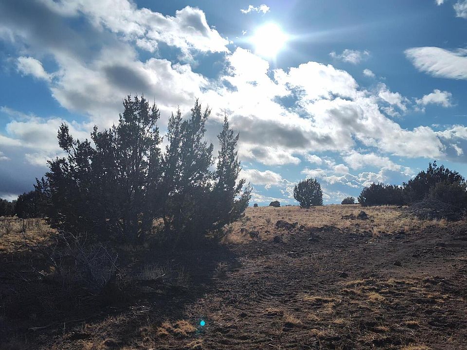 2nd image of 00000 N Deliverace -- #453