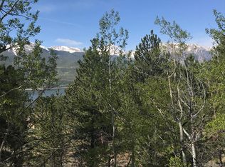 48 Twin Peaks Dr, Twin Lakes, CO 81251