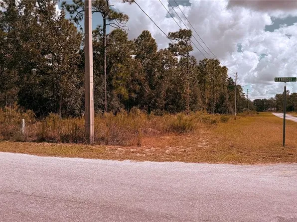 48 GLENRIDGE BOULEVARD LOT 1, HOMOSASSA, FL 34446