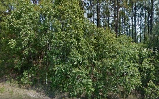 1st image of 3191 W Camilo Dr