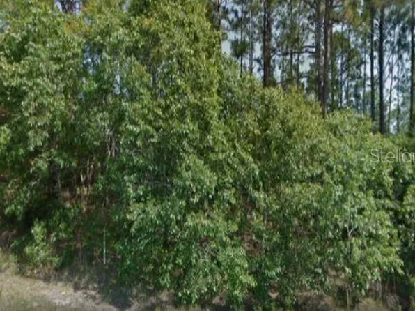 3191 W Camilo Dr, Citrus Springs, FL 34433
