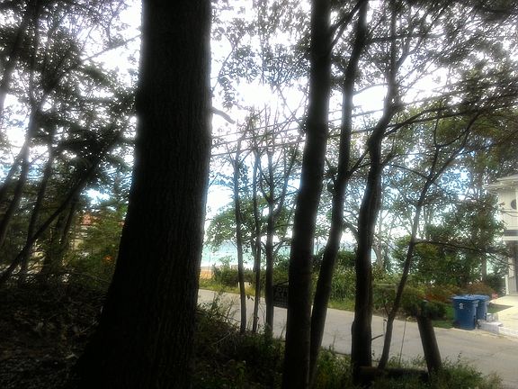 3rd image of 2323 Lake Shore Dr
