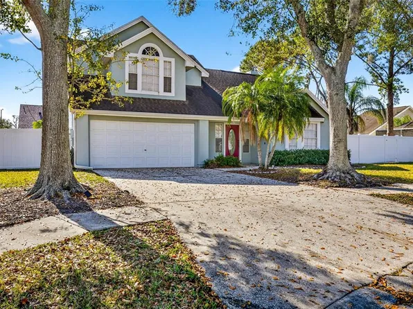 6606 Terrapin Ct, Tampa, FL 33625