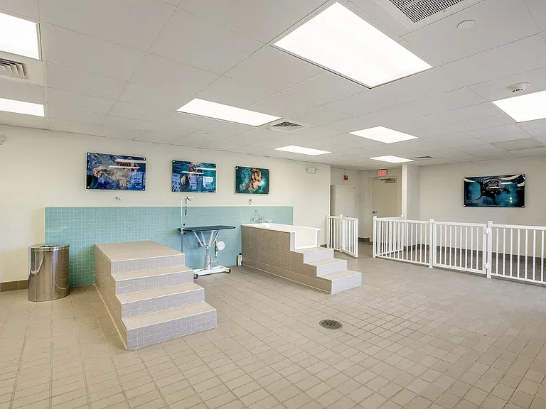 At Amaray Las Olas by Windsor, pets are part of the family. The indoor dog wash makes bath time stress-free