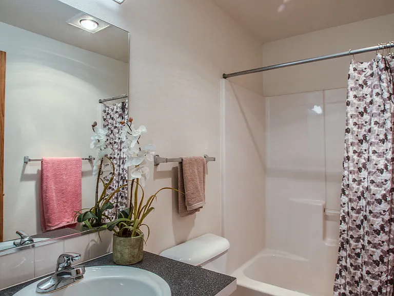 Farr Court Apartments Bathroom Sink and Shower