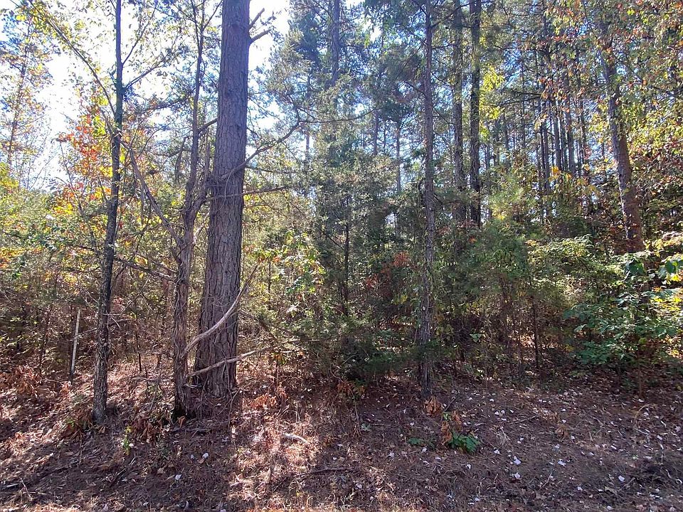 2nd image of 0 Twin Coves Cir
