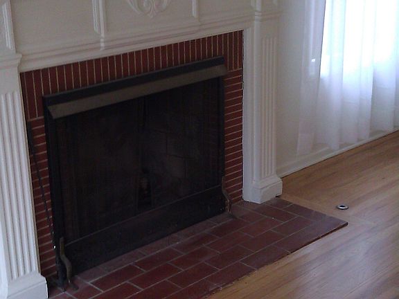 Gas Fireplace n LR