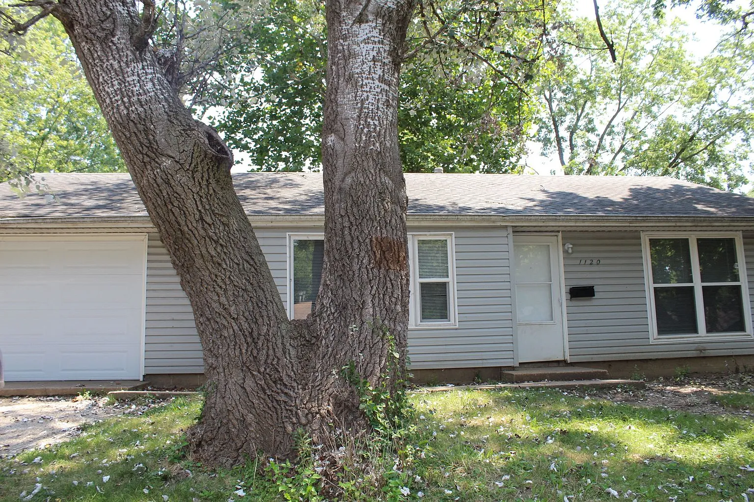 1120 Lanore Dr photo 1