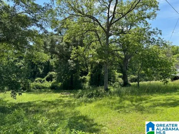 W Broad St #1, Wedowee, AL 36278