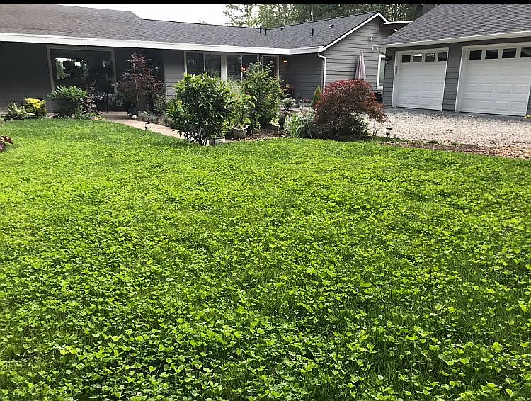 2nd image of 1618 194th St SE
