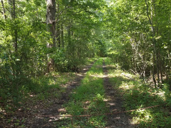 0 Rudd Rd, Ridgeville, SC 29472