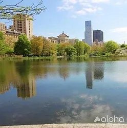 Rented by Alpha Properties NYC I LLC