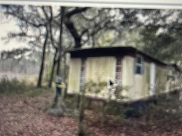 22441 NE 116th Ct, Fort Mc Coy, FL 32134