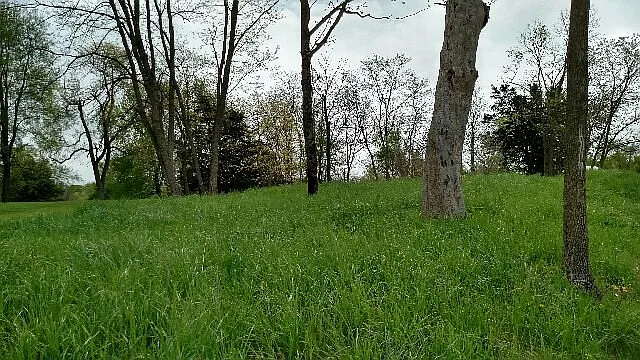 147 Campbell Rd photo 1