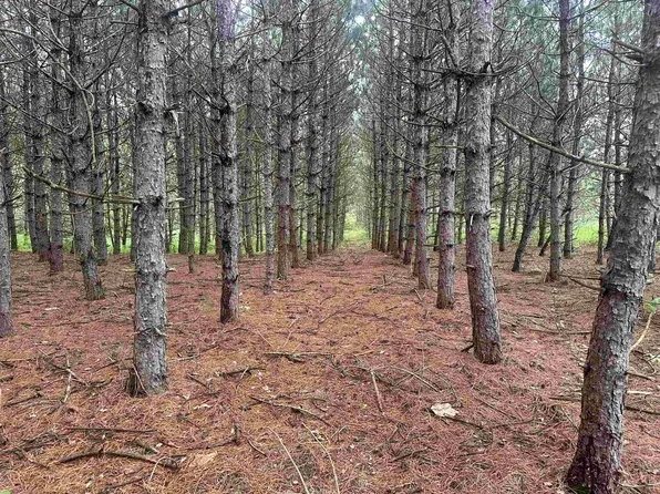 24+/-acres Happersett Lane, Redgranite, WI 54970