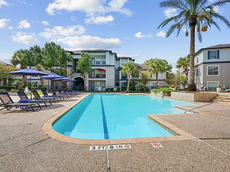 Aura at Westchase — Photo 7