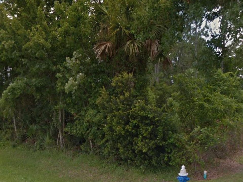 2nd image of 54 Perkins Ln