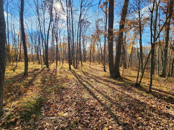 Xx Timberland Rd, Barronett, WI 54813