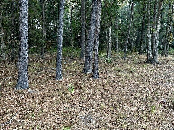 2nd image of Nhn Hammock Rd