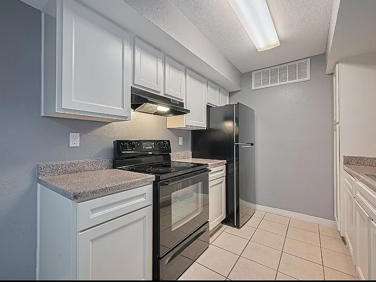12905 Woodforest Blvd #107 — Photo 4