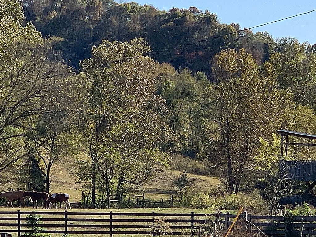 3898 Lawson Bottom Rd, Burkesville, KY 42717 Zillow