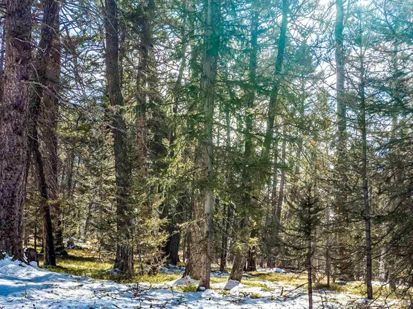 755 Ponderosa Way, Cimarron, CO 81220