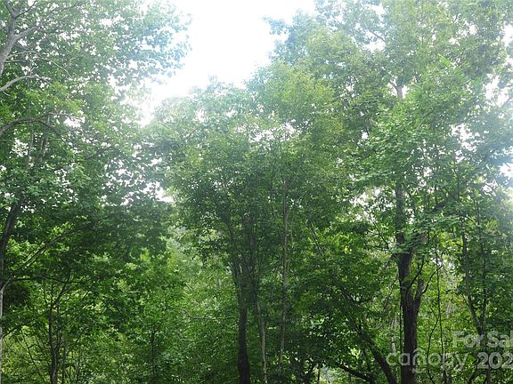 5th image of 9 Wood Haven Ln #108