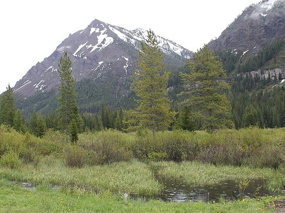 4th image of 123 Us Highway 212 W