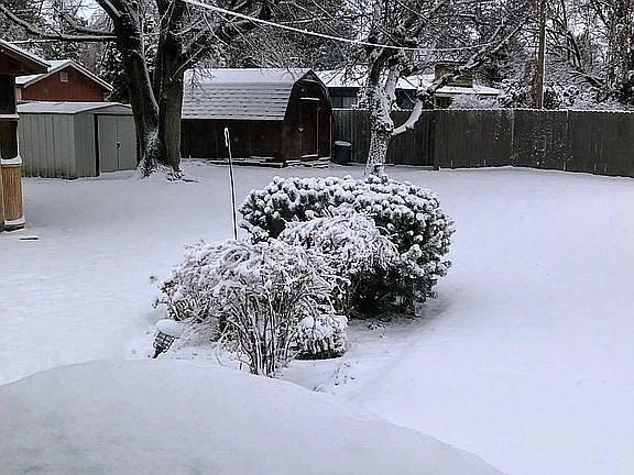 Backyard looking southeast