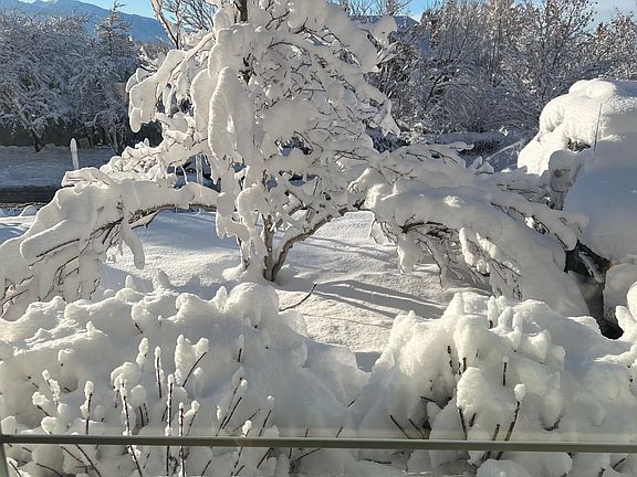 view from main living room window on a spring snow day