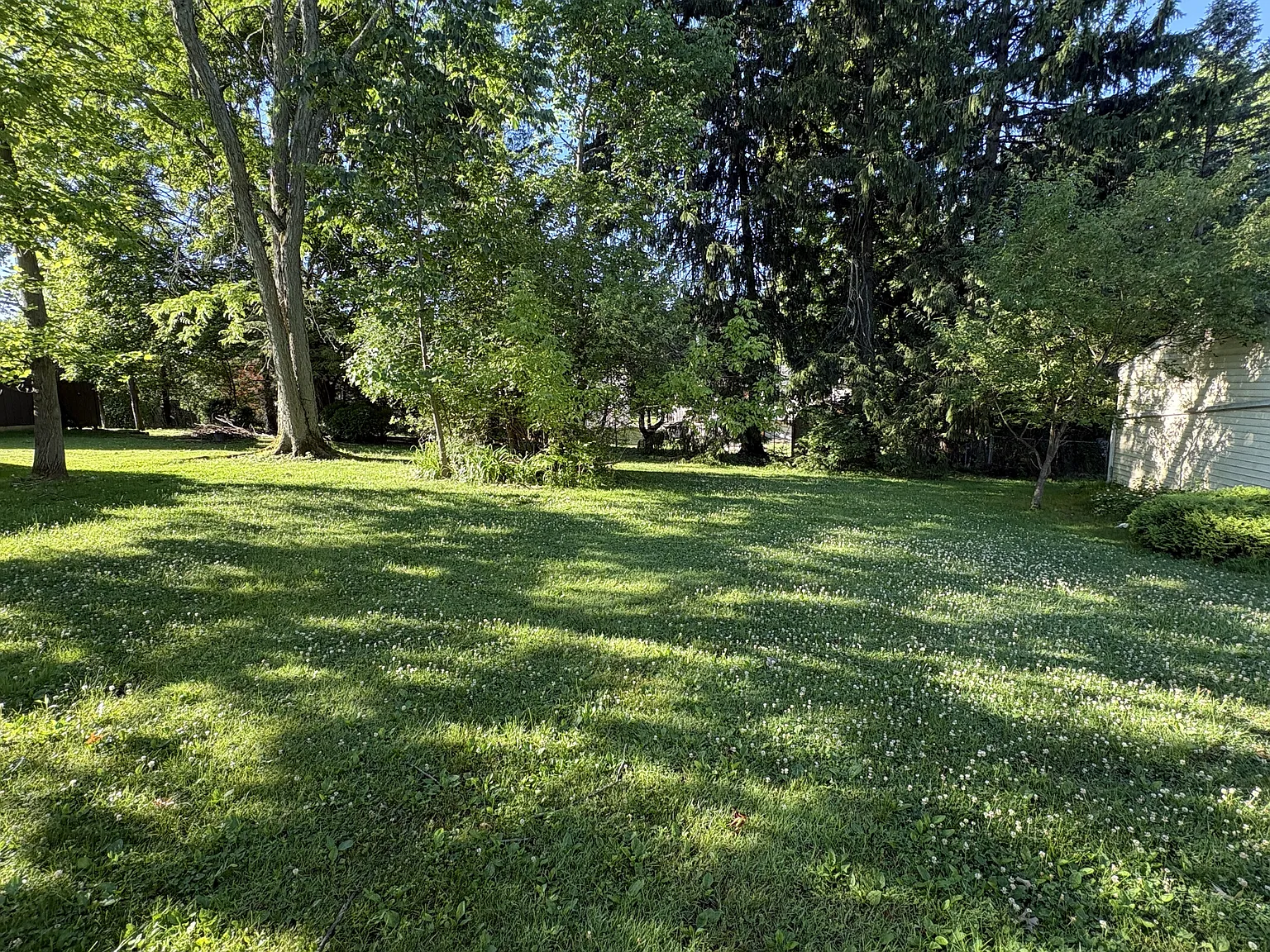 256 Monroe Drive - 1 — Photo 4