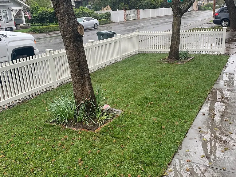 Pacific Ave — Photo 2