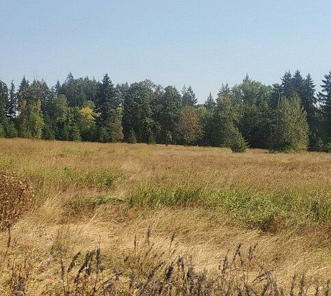 2nd image of 0 NE 72nd Avenue