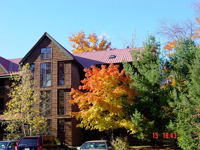 Building 65