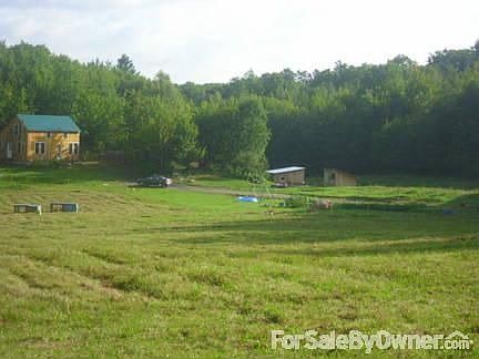Late September 2010 : Facing North East. Can see my cow in shadow straight ahead. Garden #2 visible.