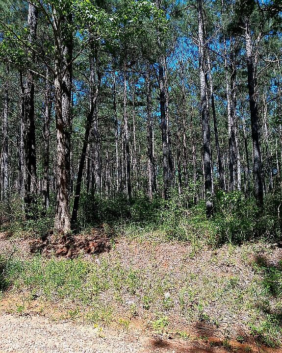 2nd image of Bracewell Cemetery Rd