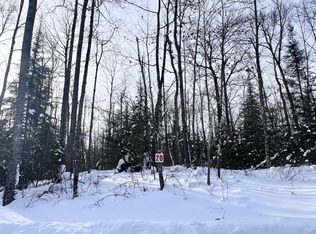 20 Butternut Cir, Eagle River, WI 54521