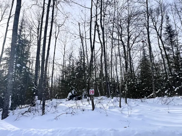 20 Butternut Cir, Eagle River, WI 54521