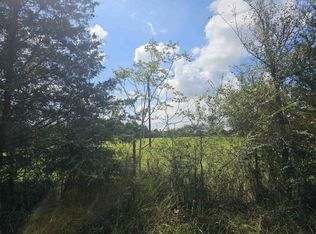 TRACT 4 County Road 306, Beckville, TX 75631
