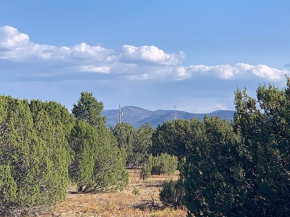2nd image of 174 Co Rd 3187B -- #-