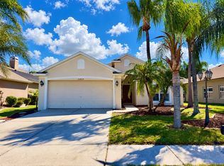 23824 Plantation Palms Blvd, Land O Lakes, FL 34639