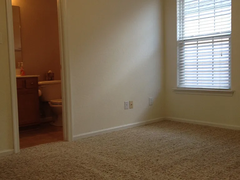 837 Brittlebank Dr — Photo 18
