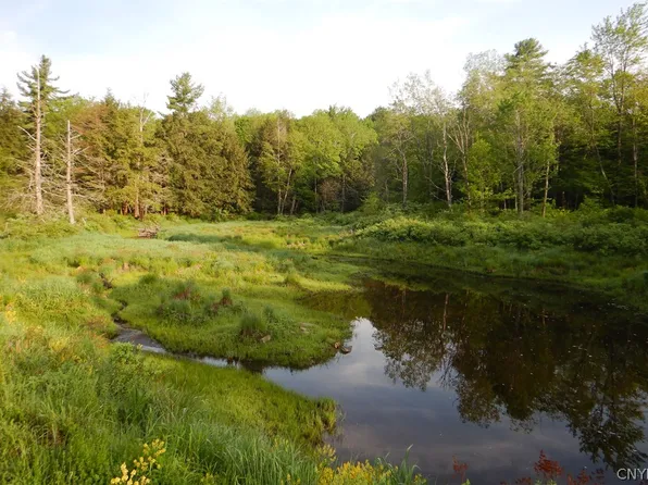 0 Porter, Plymouth, NY 13832