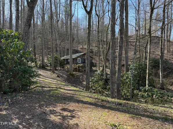 1770 Red Brush Rd, Mountain City, TN 37683