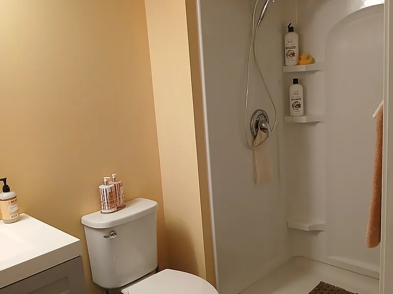 33 Spring Borough Ct — Photo 15