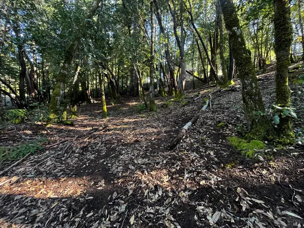 24278 Tulip Drive, Willits, CA 95490